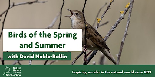 Imagen principal de Birds of the Spring and Summer (PM)