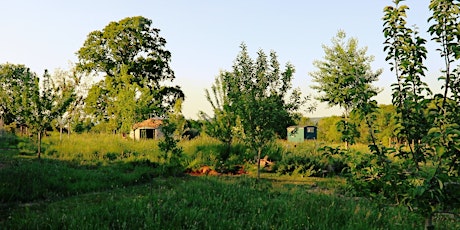 Introduction to Forest Gardening