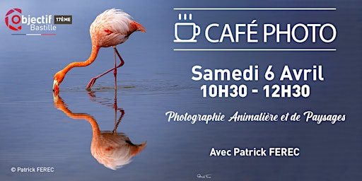 Image principale de Café Photo : Photographie Animalière et de Paysages avec Patrick FEREC