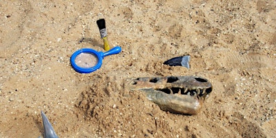 Imagem principal do evento Thameside Dinosaur Discovery