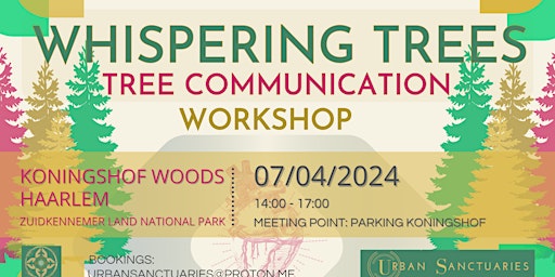 Imagen principal de "Whispering Trees" - Tree Communication Workshop