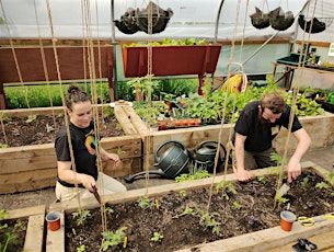 Growers' Training: Companion planting