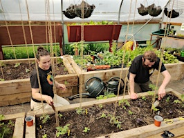 Primaire afbeelding van Growers' Training: Companion planting