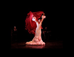 Espectáculo Baile Flamenco. Rebeca Ortega, Granada.