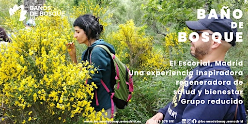 Imagem principal do evento Baño de Bosque y Primavera - sáb. 20 abr El Escorial