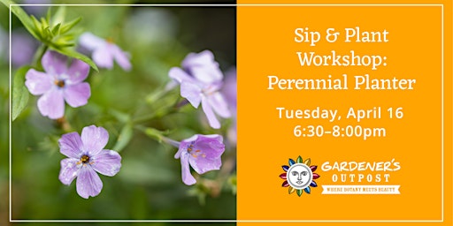 Imagem principal do evento Sip and Plant Workshop: Perennial Planter