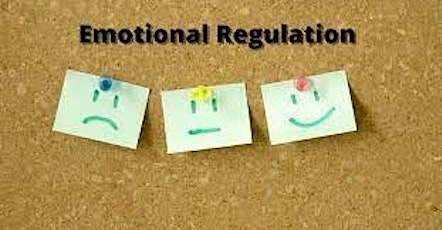 Emotional Regulation Parenting Event