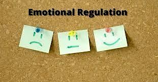 Emotional Regulation Parenting Event primary image