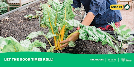 Braunstone Town | Gardening Skills Session with Buzzing Roots primary image