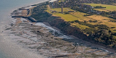 The Naze: what's it worth? To us? To wildlife? To the planet? primary image