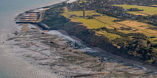 Hauptbild für The Naze: what's it worth? To us? To wildlife? To the planet?