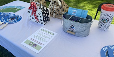 Scavenger Hunt at New Canaan Dog Days primary image