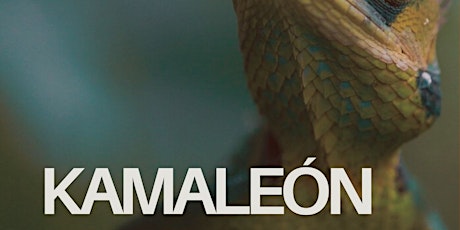 KAMALEÓN XI EDICIÓN