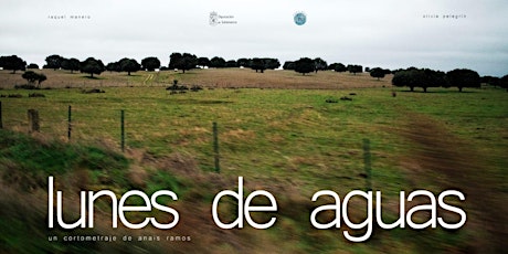 Proyección del cortometraje "Lunes de aguas"