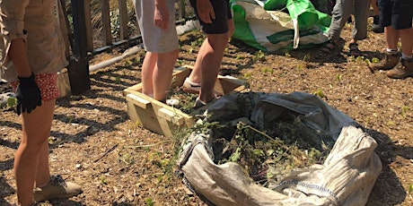 Wildmind Yard Festival: Composting workshop