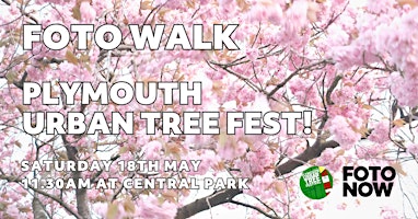 Imagem principal do evento Foto Walk with Plymouth Urban Tree Festival