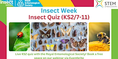 Imagen principal de Insect Quiz for Insect Week!