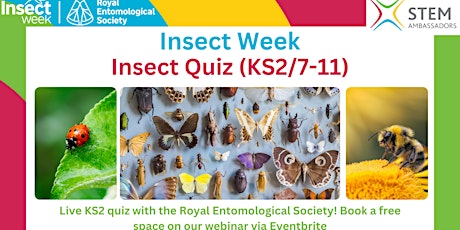 Insect Quiz for Insect Week!