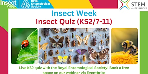 Image principale de Insect Quiz for Insect Week!