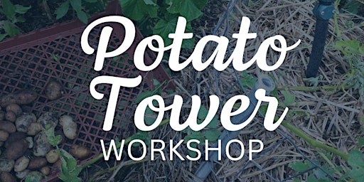Potato Tower Workshop primary image