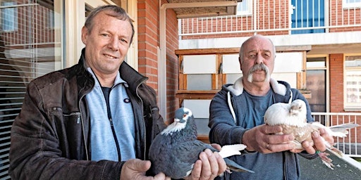 Imagem principal de Surinaamse Zangvogelvereniging ontmoet Tilduivenbond