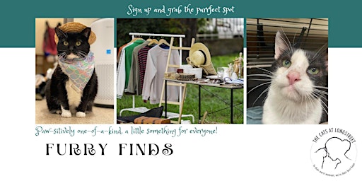 Image principale de Furry Finds Seller Space