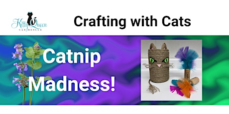 Crafting with Cats: Catnip Madness