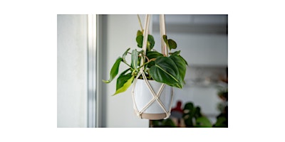 Hauptbild für Make a Boho Macrame Plant Hanger at Cool Beans Cafe