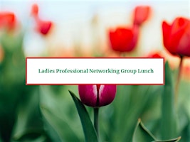 Imagem principal do evento Ladies Professional Networking Group Lunch