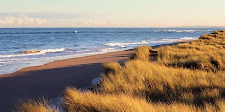 Volunteering Day at Tentsmuir National Nature Reserve for Scottish Education Agency Staff