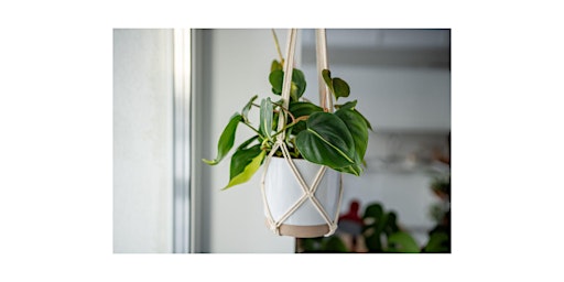 Primaire afbeelding van Make a Boho Macrame Plant Hanger at Cool Beans Cafe