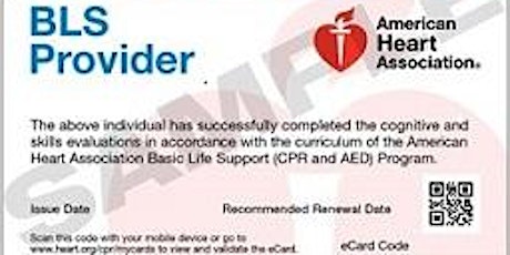Image principale de BLS eCards - LHN CPR Instructors only