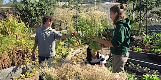 Imagem principal do evento Growing Vegetables Throughout the Year