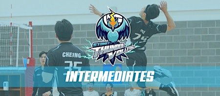 Sydney Thunder Volleyball [Intermediate Scrimmages] - North Ryde primary image