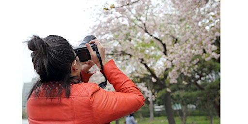 Imagem principal do evento Introduction to Basic Photography