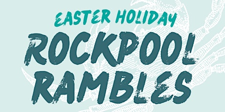 Rockpool Ramble