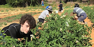 Primaire afbeelding van Metchosin Farm Day