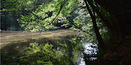 La vita nascosta nell’acqua