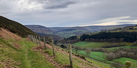 Rhewl Circular Walk