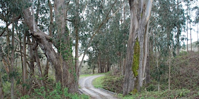 Imagen principal de Burleigh Murray State Park