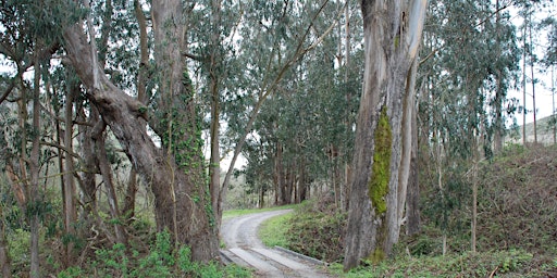 Immagine principale di Burleigh Murray State Park 