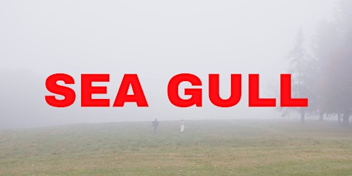 Sea Gull  primärbild