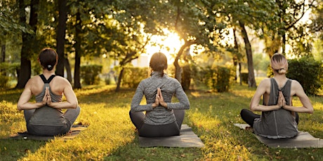 Retiro de Meditación en Madrid