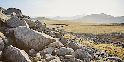 Immagine principale di Bryn Ifan wildlife count 