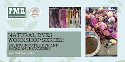 Natural Dyes Workshop Series: Diving into the Dye and Mordant Processes primary image