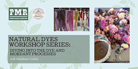 Natural Dyes Workshop Series: Diving into the Dye and Mordant Processes