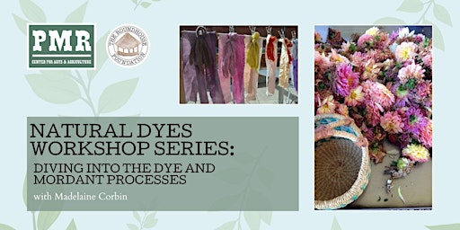 Imagen principal de Natural Dyes Workshop Series: Diving into the Dye and Mordant Processes