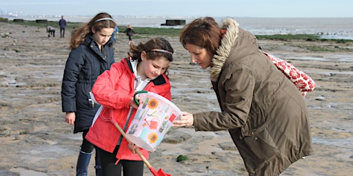 Naze Seashell Discovery and Craft Family Session primary image