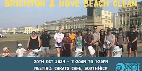 Brighton and Hove beach clean