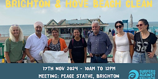 Imagen principal de Brighton and Hove beach clean